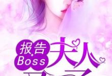 《报告Boss:夫人又怀了》小说章节在线试读,《报告Boss:夫人又怀了》最新章节目录-瑞奇文学