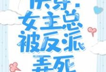 哪里能找到快穿:女主总被反派弄死小说的全部章节?-瑞奇文学