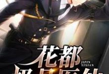 叶欢苏婉儿小说在线章节免费阅读(花都极品医仙无弹窗无删减)-瑞奇文学