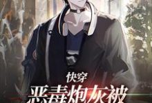 时安小说在线章节免费阅读（快穿：恶毒炮灰被疯批们强制爱了无弹窗无删减）-瑞奇文学