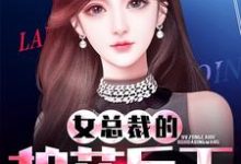 主角秦毅苏若曦楚小小小说完结版在线阅读，女总裁的护花兵王免费看-瑞奇文学