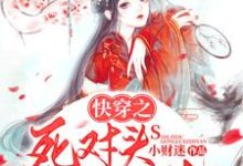 免费阅读 林清和游容为主角的小说，快穿之死对头攻略指南在线看-瑞奇文学