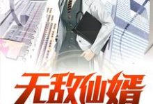 小说《无敌仙婿》章节阅读-瑞奇文学