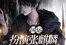 国运:扮演张麒麟,我是女版小哥小说的免费阅读版本在哪里可以找到?-瑞奇文学