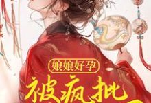 云芷宁祁夜景小说在线章节免费阅读（娘娘好孕，被疯批皇帝专宠了无弹窗无删减）-瑞奇文学