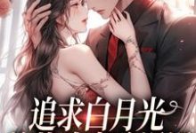 在线寻找追求白月光，总裁追妻路漫漫小说的无删减版本-瑞奇文学