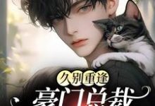 完结版《久别重逢:豪门总裁又野又痞》章节阅读-瑞奇文学