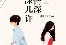 求推荐可以免费阅读一往情深深几许小说的网站-瑞奇文学