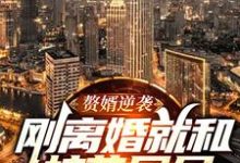 求赘婿逆袭:刚离婚就和校花同居小说免费资源-瑞奇文学