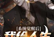 已完结小说《系统觉醒后,我给人生开了个挂》章节在线阅读-瑞奇文学