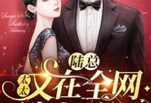 免费阅读陆辞简溪为主角的小说,陆总,太太又在全网选老公了在线看-瑞奇文学