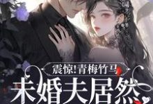 晏深闻溪为主角的小说叫什么?免费看震惊!青梅竹马未婚夫居然有白月光-瑞奇文学