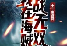 十二生肖符:我在海贼战无双最新章节,十二生肖符:我在海贼战无双免费阅读-瑞奇文学