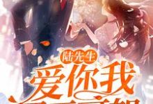 《陆先生,爱你我罪无可恕》小说章节在线试读,《陆先生,爱你我罪无可恕》最新章节目录-瑞奇文学