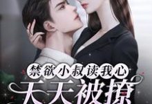 禁欲小叔读我心,天天被撩失控了小说全文阅读需要付费吗?寻找免费资源-瑞奇文学