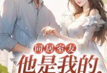 顾盛许渔为主角的小说好看吗?免费读同居室友:他是我的青梅竹马-瑞奇文学