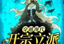 主角赵清念沈和光小说完结版在线阅读，穿越现代，开宗立派免费看-瑞奇文学