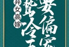 弃女高嫁：阴鸷冷王要偏宠最新章节，弃女高嫁：阴鸷冷王要偏宠免费阅读-瑞奇文学