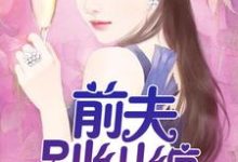 前夫,别纠缠免费阅读,前夫,别纠缠章节目录-瑞奇文学