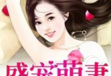 已完结小说《盛宠萌妻》在线章节阅读-瑞奇文学