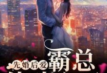 先婚后爱，霸总他动心了这本小说在哪里可以看？哪里有免费试读章节？-瑞奇文学