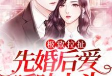 完结版《极致拉扯：先婚后爱暧昧上头》章节目录在线阅读-瑞奇文学