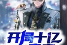 小说《开局十亿房产》在线章节阅读-瑞奇文学