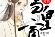 《女扮男装当皇商》全集免费在线阅读（文少卿）-瑞奇文学