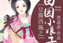 小说《豆腐西施之田园小娘子》章节免费阅读-瑞奇文学