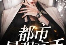 都市最强高手最新章节，都市最强高手免费阅读-瑞奇文学