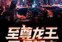 至尊龙王回归都市小说，至尊龙王回归都市萧青帝林佳琪苏若颜萧天帝-瑞奇文学