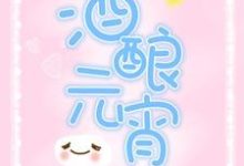 薛酒宋远山任玥小说《酒酿元宵》在线阅读-瑞奇文学