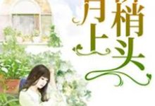月上柳梢头小说，月上柳梢头章节在线阅读-瑞奇文学