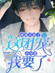 主角苏允儿时宴小说完结版在线阅读，顶流不装了，这团宠小可爱我要了免费看