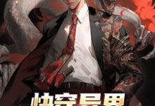 主角叶圣小说完结版在线阅读，快穿异界：开局鬼物肆虐免费看-瑞奇文学