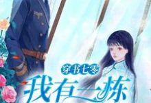 主角徐婉宁小说穿书七零:我有一栋百货大楼免费阅读-瑞奇文学