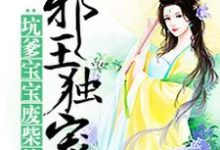 主人公叫苏倾云北冥尘司徒澈苏怜儿的小说腹黑宝宝神偷娘亲在线阅读章节-瑞奇文学