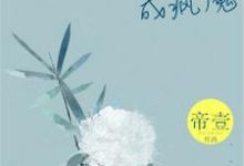 盛夏陆以南程漪的完整故事在哪里？读情到深处成疯魔小说-瑞奇文学