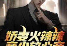 娇妻火辣辣:帝少放心宠小说的免费电子版在哪里可以下载或阅读?-瑞奇文学