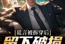 《谎言被拆穿后,留下破损的婚姻》小说章节在线试读,《谎言被拆穿后,留下破损的婚姻》最新章节目录-瑞奇文学