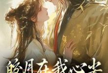 完结版《皎月在我心尖,也在我怀里》免费阅读-瑞奇文学