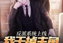 完结版《反派系统上线，我干掉主角夺气运》免费阅读-瑞奇文学