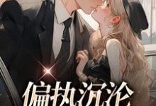 完结版《偏执沉沦：学长，晚上见》章节目录在线阅读-瑞奇文学