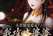 完结版《夫君独宠爱妾？我攻略婆婆来撑腰》在线免费阅读-瑞奇文学