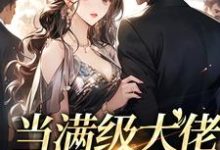 已完结小说《当满级大佬错绑我后》最新章节-瑞奇文学