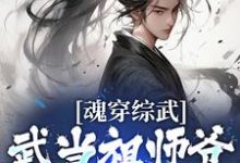 魂穿综武:武当祖师爷出山了这本小说在哪里可以看?哪里有免费试读章节?-瑞奇文学