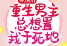 穿越后，重生男主总想置我于死地小说，穿越后，重生男主总想置我于死地免费阅读-瑞奇文学