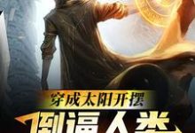 主角秦墨小说穿成太阳开摆,倒逼人类逃离太阳系免费阅读-瑞奇文学