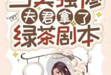 当美强惨夫君拿了绿茶剧本章节免费在线阅读，赵漾宁睿完结版-瑞奇文学