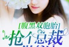 在线搜索 程海安陆一琛的完整小说,免费阅读腹黑双胞胎:抢个总裁做爹地-瑞奇文学